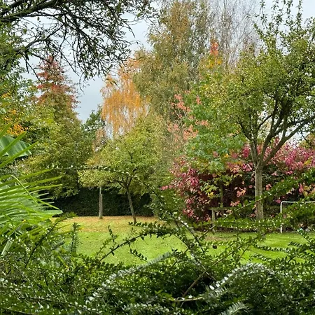 Falafa Normand * Pont-Évêque
